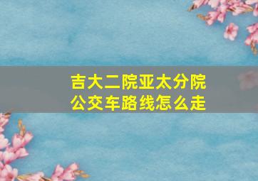 吉大二院亚太分院公交车路线怎么走