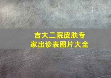 吉大二院皮肤专家出诊表图片大全