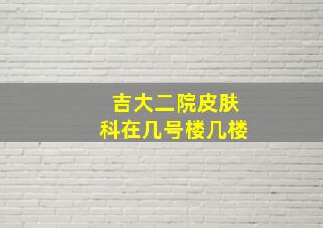 吉大二院皮肤科在几号楼几楼