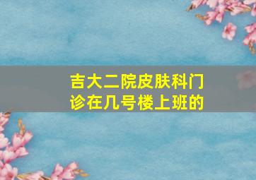 吉大二院皮肤科门诊在几号楼上班的