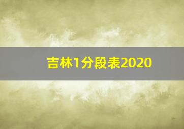 吉林1分段表2020