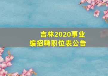 吉林2020事业编招聘职位表公告