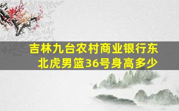 吉林九台农村商业银行东北虎男篮36号身高多少