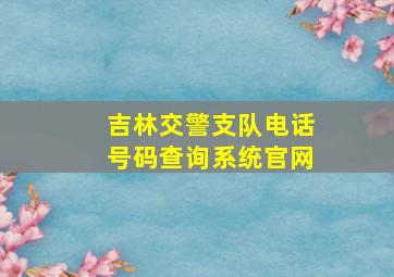 吉林交警支队电话号码查询系统官网