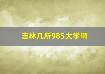 吉林几所985大学啊