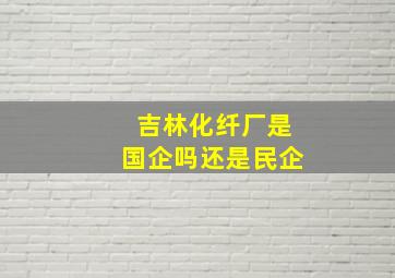 吉林化纤厂是国企吗还是民企