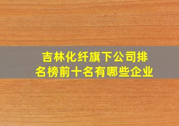 吉林化纤旗下公司排名榜前十名有哪些企业