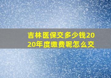 吉林医保交多少钱2020年度缴费呢怎么交