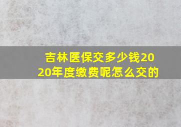 吉林医保交多少钱2020年度缴费呢怎么交的