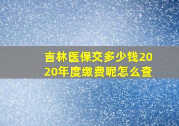 吉林医保交多少钱2020年度缴费呢怎么查