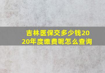 吉林医保交多少钱2020年度缴费呢怎么查询