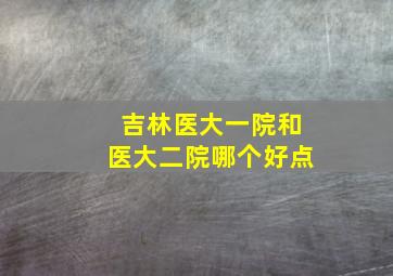 吉林医大一院和医大二院哪个好点