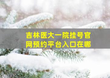 吉林医大一院挂号官网预约平台入口在哪