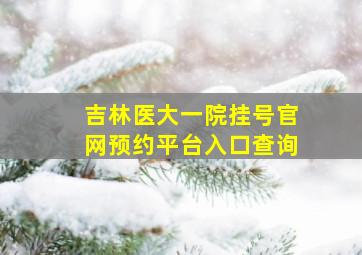 吉林医大一院挂号官网预约平台入口查询