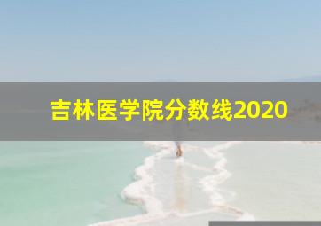 吉林医学院分数线2020