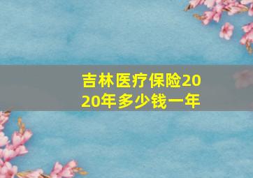 吉林医疗保险2020年多少钱一年