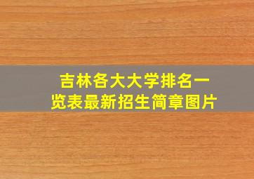 吉林各大大学排名一览表最新招生简章图片