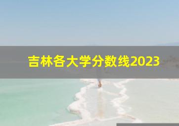 吉林各大学分数线2023