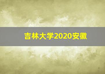 吉林大学2020安徽