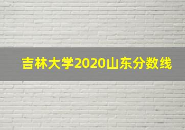 吉林大学2020山东分数线