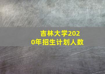 吉林大学2020年招生计划人数