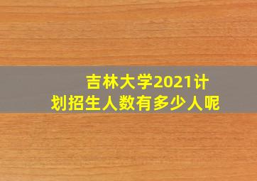 吉林大学2021计划招生人数有多少人呢