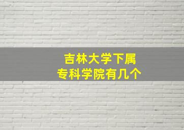 吉林大学下属专科学院有几个