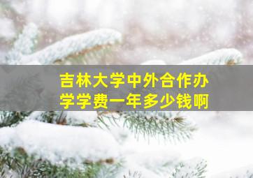 吉林大学中外合作办学学费一年多少钱啊