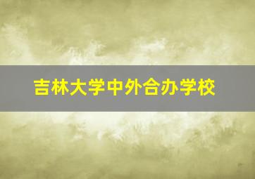 吉林大学中外合办学校