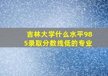 吉林大学什么水平985录取分数线低的专业