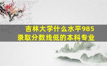 吉林大学什么水平985录取分数线低的本科专业