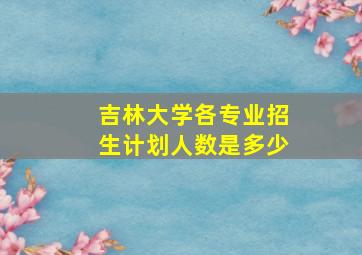 吉林大学各专业招生计划人数是多少