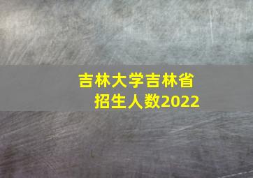 吉林大学吉林省招生人数2022