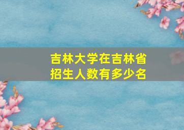 吉林大学在吉林省招生人数有多少名