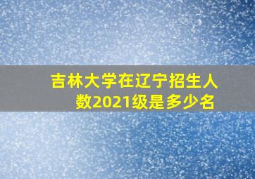 吉林大学在辽宁招生人数2021级是多少名