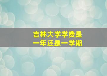 吉林大学学费是一年还是一学期