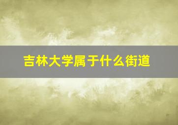 吉林大学属于什么街道