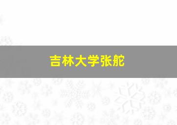 吉林大学张舵