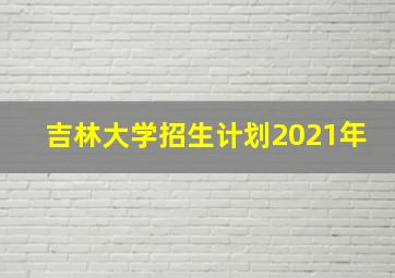 吉林大学招生计划2021年