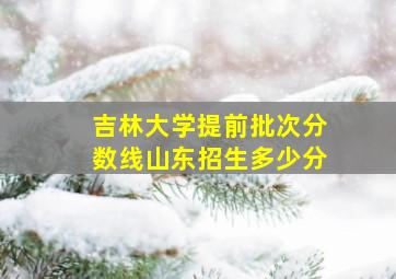 吉林大学提前批次分数线山东招生多少分