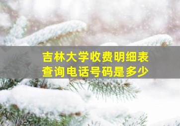 吉林大学收费明细表查询电话号码是多少