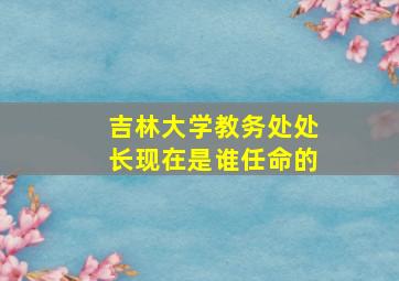 吉林大学教务处处长现在是谁任命的