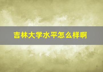 吉林大学水平怎么样啊