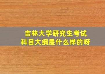 吉林大学研究生考试科目大纲是什么样的呀