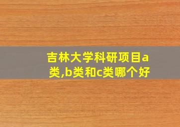 吉林大学科研项目a类,b类和c类哪个好