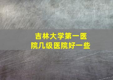 吉林大学第一医院几级医院好一些