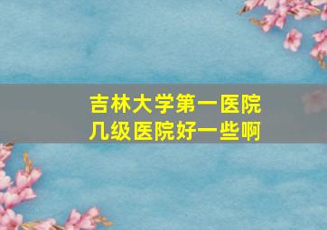 吉林大学第一医院几级医院好一些啊