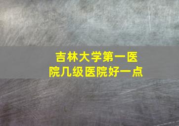 吉林大学第一医院几级医院好一点