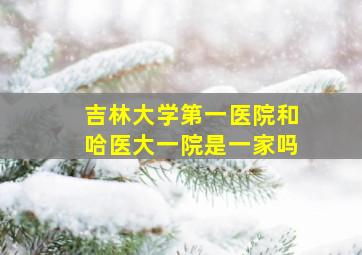 吉林大学第一医院和哈医大一院是一家吗