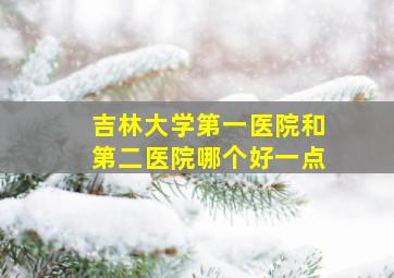 吉林大学第一医院和第二医院哪个好一点